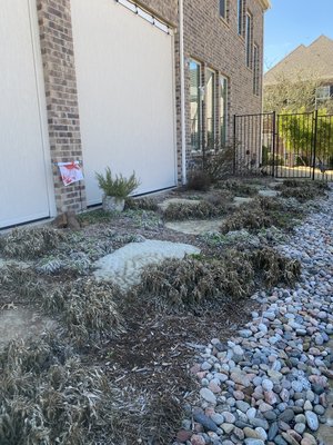 Landscape renovation - Landscape renovation