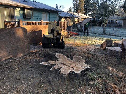 Another Stump - Another stump job.