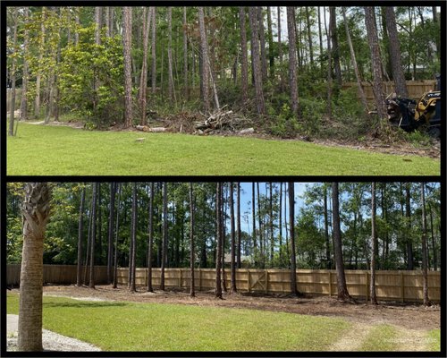 Back Yard Clean Out - Property Development, Bobcat Work & Bush Hog:
Whether you have an overgrown section of yard or an acre of
land to clear, we are ready to handle your job.
Starting a new build?  Call for a consultation on which trees
to keep to benefit you and your new home.
We can help to bring out the best in your property!