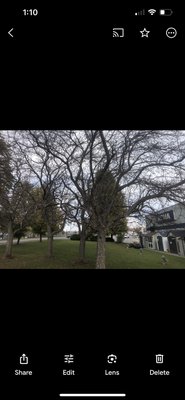 LEAF CLEANUP - Our crew completed a full fall leaf cleanup at a RONA property, clearing out leaves from garden beds, walkways, curbs, and parking areas. The result? A clean, safe, and professional-looking space that’s ready for the winter season.

✅ Thorough Leaf Removal
✅ Commercial Property Clean-Up
✅ Blow, Rake, and Bag Service
✅ Boosted Curb Appeal for Customers & Staff

Seasonal maintenance done right — keeping your business looking sharp and inviting.