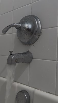APX finds the source—not just the trail - Our targeted ant spray service is designed to eliminate active ant activity and help prevent ants from returning. APX focuses on identifying where ants are entering and treating the areas contributing to the problem—not just spraying where you see them.

Fast. Targeted. Done right.
That’s The APX Standard.