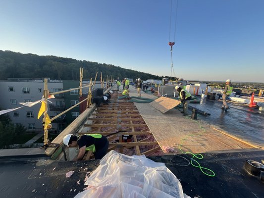 Large Scale Rooftop Mold Remediation in Hudson Wisconsin - A large commercial facility contracted us to provide mold remediation services as part of their roof replacement project. We collaborated closely with a roofing and insulation company, employing HEPA vacuums and an antimicrobial solution to meticulously ensure the roof structure was fully remediated before the new roof installation began. Large Scale Rooftop Mold Remediation in Hudson Wisconsin - A large commercial facility contracted us to provide mold remediation services as part of their roof replacement project. We collaborated closely with a roofing and insulation company, employing HEPA vacuums and an antimicrobial solution to meticulously ensure the roof structure was fully remediated before the new roof installation began.