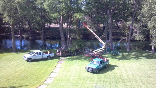 Tree Trimming and Tree Pruning - Tree trimming and pruning is the most common tree maintenance service we provide.  It is often performed to achieve aesthetic goals or to improve branch structure.  We strongly recommend periodic pruning as a proactive approach to improving overall tree vigor and eliminating hazardous limb failure as proper pruning will reduce risk of limb failure, improve tree posture and branch structure, reduce spread of disease, improve light filtration through canopy, improve air circulation within the canopy, improve aesthetics, and reduce long term tree maintenance costs.