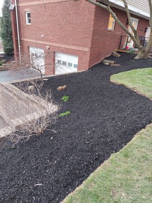Spring cleaning and mulch! - This job was done in St Clair. It was a spring cleanup, and mulch. pictures are before and after. Spring cleaning and mulch! - This job was done in St Clair. It was a spring cleanup, and mulch. pictures are before and after.