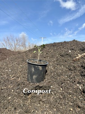 Garden Soil - We are ready to serve your garden needs! Top Soil, Compost, Super Soil and Mulch are all ready to go! Call us now to set up a delivery Garden Soil - We are ready to serve your garden needs! Top Soil, Compost, Super Soil and Mulch are all ready to go! Call us now to set up a delivery