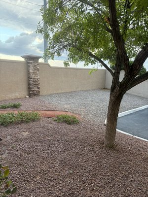 Yard cleanup and blowout tree, trimming and hedging - Tree removal, bushes, and hedging blow out all leaves and debris!