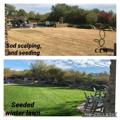 Winter lawn seeding 2020 - Scalping the lawn around beginnings of October depending on the weather and forecast, seeding also starts the same day we scalp. Usually by the end of October you have your lawn green and growing!