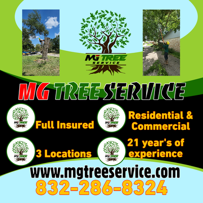 Quality Tree Services - Mg tree service is a Local, Insured, Bonded, And licensed tree care company in Houston, TX. Quality Tree Services - Mg tree service is a Local, Insured, Bonded, And licensed tree care company in Houston, TX.