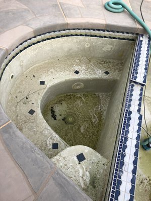 Chlorine Wash - Customer Took Care Of His Own Pool. Due To An Injury , He Wasn’t Able To Keep Up With It For A Couple Of Months. Thankfully It Was During The Winter Season! Frogs Would Of Been Swimming If It Was Around Summer!
Day 1: Drained The Pool.
Day 2: Can’t Upload Videos But We Power Washed The Plaster To Remove The Thick Layers Of Mustard Algae. After That Was Completed , We Sprayed It All Down With HASA Chlorine To Disinfect The Walls & Kill Any Remaining Algae. Started To Fill Afterwards - We Leave Chlorine On Walls So It Can Bleach Itself One More Time As Water Fills Up.
Day 3: Being A Small Pool , It Filled In Less Than 15 Hours. So We Performed A Start Up Giving It That Final , Beautiful , Crystal Clear , Zillah’s Magic Touch! Chlorine Wash - Customer Took Care Of His Own Pool. Due To An Injury , He Wasn’t Able To Keep Up With It For A Couple Of Months. Thankfully It Was During The Winter Season! Frogs Would Of Been Swimming If It Was Around Summer!
Day 1: Drained The Pool.
Day 2: Can’t Upload Videos But We Power Washed The Plaster To Remove The Thick Layers Of Mustard Algae. After That Was Completed , We Sprayed It All Down With HASA Chlorine To Disinfect The Walls & Kill Any Remaining Algae. Started To Fill Afterwards - We Leave Chlorine On Walls So It Can Bleach Itself One More Time As Water Fills Up.
Day 3: Being A Small Pool , It Filled In Less Than 15 Hours. So We Performed A Start Up Giving It That Final , Beautiful , Crystal Clear , Zillah’s Magic Touch!