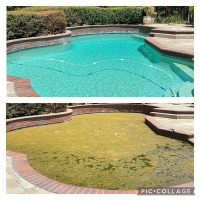 Green pool clean ups! - The pool was sitting for six months with no service and the filter was extremely dirty along with the pump basket being full. The client thought we had to drain it but we didn’t. Through a lot of hard work the project took us only five days to get it swim ready. Green pool clean ups! - The pool was sitting for six months with no service and the filter was extremely dirty along with the pump basket being full. The client thought we had to drain it but we didn’t. Through a lot of hard work the project took us only five days to get it swim ready.