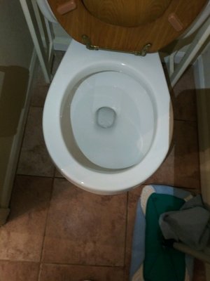 Restorative Clean for Rental Property - This service was provided on a rental property that needed a restorative clean.  The landlord was thinking about replacing the toilet, but we were able to get it to look like new again.  If you are listing your house for sale, have a property for rent, are moving into a new home, or just want your house to look like it did when you first moved in.... call us for a Deep Clean.  A Deep Clean is a whole lot more cost effective than a remodel.  We can't wait to show you what we can do.