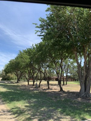Preventative Maintenance - Some of our services include: Feeding, Micro injections, Root Stimulation, Disease and Bacteria Awareness, and Tree Trimming. Call us today before our books close for Spring! Preventative Maintenance - Some of our services include: Feeding, Micro injections, Root Stimulation, Disease and Bacteria Awareness, and Tree Trimming. Call us today before our books close for Spring!