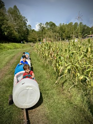 Fall Corn maze - Experience the magic of fall at the Corn Maze at Cress Creeks Farm in beautiful Ellijay, Georgia. Nestled in the foothills of the North Georgia Mountains, our family-friendly corn maze offers an unforgettable outdoor adventure filled with fresh mountain air, scenic countryside views, and wholesome farm fun for all ages.

Wind your way through towering corn stalks as you navigate twists, turns, and clue stations designed to challenge and entertain both kids and adults. Whether you're competing to find the fastest route out or simply enjoying a leisurely stroll through the maze, every visit creates lasting memories with family and friends. The maze typically takes between 30 minutes and an hour to complete, depending on your pace and skill level.

But the adventure doesn't stop there. Visitors can enjoy tractor-pulled hayrides across the farm, meet and feed our friendly sheep, explore kid-friendly activities, and relax in the welcoming atmosphere of a real working farm. From barrel train rides and outdoor games to seasonal treats and photo opportunities, there's something for everyone to enjoy.

As autumn colors blanket the North Georgia mountains, Cress Creeks Farm transforms into a festive fall destination where families can unplug, reconnect, and celebrate the season together. Crisp air, golden leaves, pumpkins, farm animals, and endless countryside charm create the perfect backdrop for your fall traditions.

Located just minutes from downtown Ellijay, Cress Creeks Farm combines the excitement of a classic corn maze with the authentic experience of a working farm. Whether you're planning a family outing, school field trip, church event, birthday celebration, or weekend getaway, our corn maze delivers a day filled with laughter, adventure, and unforgettable memories.

Come get lost in the fun this fall at Cress Creeks Farm—where country traditions, family adventures, and North Georgia hospitality come together in one amazing seasonal experience.