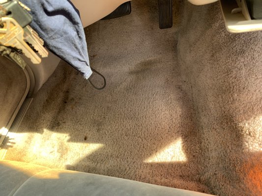Do you need a little fairy to work a miracle? - No matter the mess Bay Area Auto Detailing can work a miracle for you! Hard to remove stains or just plain dirt, we got you. we vacuum, degrease and shampoo your carpets so well you would forget they were even dirty. Sounds like something you need? Call 650-346-8793 (Kevin) or 510-305-2344 (Anastasia) Do you need a little fairy to work a miracle? - No matter the mess Bay Area Auto Detailing can work a miracle for you! Hard to remove stains or just plain dirt, we got you. we vacuum, degrease and shampoo your carpets so well you would forget they were even dirty. Sounds like something you need? Call 650-346-8793 (Kevin) or 510-305-2344 (Anastasia)