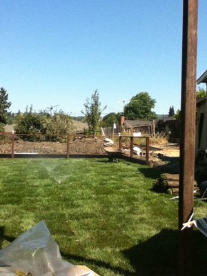 Yard Reconstruction - In this yard, Mr. Carlos asked us to rebuild his entire backyard by installing new grass and new concrete fences.