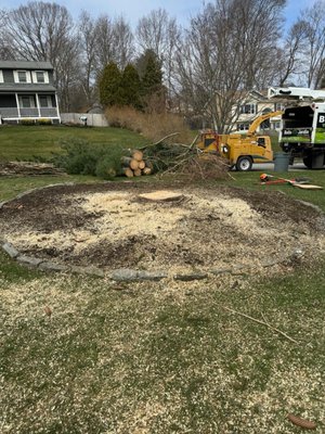 Stump Grinding - Exactly what to expect when stump grinding. Before, during and after!