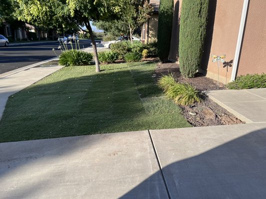 SOD instillation - Gover Green offers affordable SOD instillation quick efficient and overall above average quality SOD instillation - Gover Green offers affordable SOD instillation quick efficient and overall above average quality