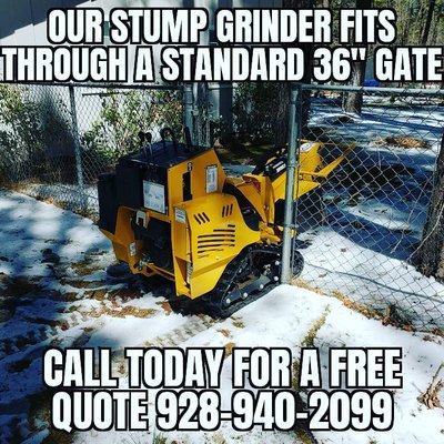 Stump Removal Experts - We specialize in tree stump removal and technical tree removal. Call today for your free consultation with our experts. Stump Removal Experts - We specialize in tree stump removal and technical tree removal. Call today for your free consultation with our experts.