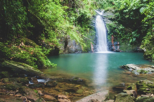 Belize - Carribean - Pristine beaches and the second longest barrier reef in the world provide ample opportunity for swimming, snorkeling and diving. Combined with over 500 species of exotic birds, 250 varieties of orchids and more than 600 archeological sites, Belize is a paradise.