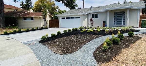 Front Yard Modern Renovation - Like many other customers, this customer frustration came from dealing with many unprofessional and no-show contractors. We at SIG Landscape reassure each customer of our process through a site job walk and provide an accurate estimate.
The area was bare from a previously mature magnolia tree removed by a licensed arborist company. The client had plants and visuals he wanted to integrate into the design, and SIG Landscape worked with the client to bring his vision to life through a 3d landscape rendering. SIG Landscape installed evergreen plants, pavers, and gravel paths - to contrast the planting, and curb appeal while increasing the use of walking space throughout the yard. Also, installed irrigation of a new mainline for irrigation along with a new wired clock for all irrigation zones of drip irrigation and pop-up sprinklers that water ground cover.
This installation was a success! The client was involved in all phases of the project and educated on using irrigation timers, valve operations, and plant care practices. Front Yard Modern Renovation - Like many other customers, this customer frustration came from dealing with many unprofessional and no-show contractors. We at SIG Landscape reassure each customer of our process through a site job walk and provide an accurate estimate.
The area was bare from a previously mature magnolia tree removed by a licensed arborist company. The client had plants and visuals he wanted to integrate into the design, and SIG Landscape worked with the client to bring his vision to life through a 3d landscape rendering. SIG Landscape installed evergreen plants, pavers, and gravel paths - to contrast the planting, and curb appeal while increasing the use of walking space throughout the yard. Also, installed irrigation of a new mainline for irrigation along with a new wired clock for all irrigation zones of drip irrigation and pop-up sprinklers that water ground cover.
This installation was a success! The client was involved in all phases of the project and educated on using irrigation timers, valve operations, and plant care practices.