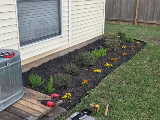 Mistletoe Curb Appeal - This couple needed their house to be ready to sell! We replaced and stained pickets on the front of the fence; we pulled out all the old pla Mistletoe Curb Appeal - This couple needed their house to be ready to sell! We replaced and stained pickets on the front of the fence; we pulled out all the old pla