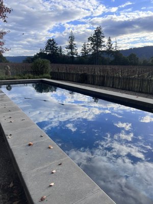 Specializing In Wine Country Estate Pools - These are just some of the pools we are proud to maintain year round. Our service is complete, from adjusting seasonal programs, start up and shut down, to water balance and replacing most installed systems. Our Goal is to make sure your pool and spa are always ready to go! Specializing In Wine Country Estate Pools - These are just some of the pools we are proud to maintain year round. Our service is complete, from adjusting seasonal programs, start up and shut down, to water balance and replacing most installed systems. Our Goal is to make sure your pool and spa are always ready to go!