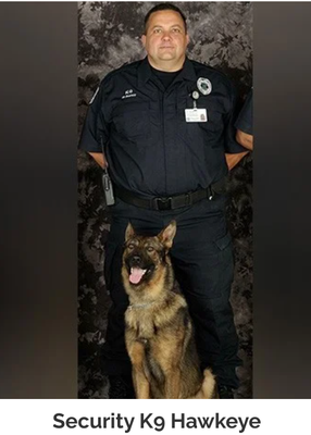 Nosework taught by former Police K9 Officer - Michael is a former Police K9 Officer, Mt. Morris Police Department, Mt. Morris, MI 1997-2006
As a reserve police officer provided Police K9 Services; narcotic detection,
tracking, area search, evidence detection and handler protection. He is also a certified Dog Behaviorist. Book Now! Nosework taught by former Police K9 Officer - Michael is a former Police K9 Officer, Mt. Morris Police Department, Mt. Morris, MI 1997-2006
As a reserve police officer provided Police K9 Services; narcotic detection,
tracking, area search, evidence detection and handler protection. He is also a certified Dog Behaviorist. Book Now!