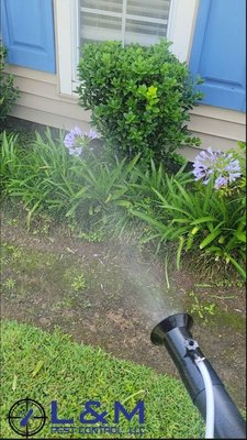 Safe, Reliable Outdoor Pest Control for Lawns, Shrubs, Pets and Play Areas - Help and protect your family, children, pets and plants from pests including insects, ants, mites, beetles, chinch bugs and more. Reliable, prompt, and courteous service is our standard. We view each request as an opportunity to serve you with love and care just like our mother and grandmother taught us. Safe, Reliable Outdoor Pest Control for Lawns, Shrubs, Pets and Play Areas - Help and protect your family, children, pets and plants from pests including insects, ants, mites, beetles, chinch bugs and more. Reliable, prompt, and courteous service is our standard. We view each request as an opportunity to serve you with love and care just like our mother and grandmother taught us.