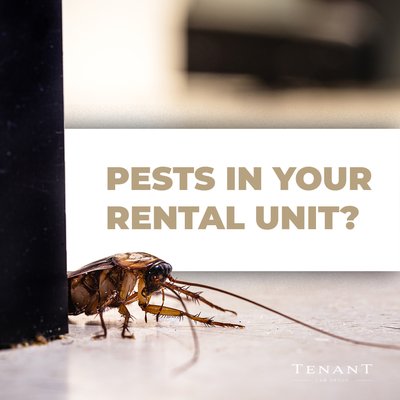 Pests in Your Rental Unit - If you are a California tenant and your landlord is failing to remove bed bugs, rodents, or other pests, and is forcing you to live in uninhabitable living conditions, we can help you recover as much money as possible for your losses - if there is no recovery, there is no fee for you to pay! Pests in Your Rental Unit - If you are a California tenant and your landlord is failing to remove bed bugs, rodents, or other pests, and is forcing you to live in uninhabitable living conditions, we can help you recover as much money as possible for your losses - if there is no recovery, there is no fee for you to pay!