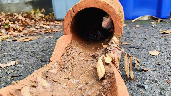 Root damage, clog sewer line - we had a call that the main line was clogged We cleared the line with our snake and stuck a camera down the line to see the problem that was causing the clog we found out they had roots that was backing up their sewer fix there problems by replacing a section and install new ABS pipe for their connection Root damage, clog sewer line - we had a call that the main line was clogged We cleared the line with our snake and stuck a camera down the line to see the problem that was causing the clog we found out they had roots that was backing up their sewer fix there problems by replacing a section and install new ABS pipe for their connection