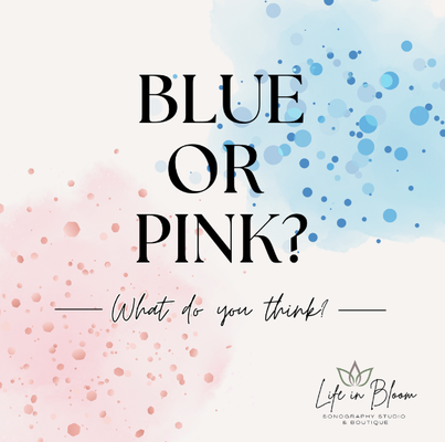 Second Trimester (14 weeks - 27 weeks, 6 days) - Second Trimester photos 2D Ultrasound, Gender Reveal Ultrasound & 3D | 4D | HD Ultrasound. Book today!