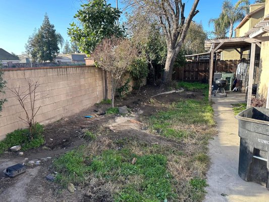 designed and Landscaped backyard . - This backyard needed some TLC , we laid out our plan to the client and they loved the outcome . designed and Landscaped backyard . - This backyard needed some TLC , we laid out our plan to the client and they loved the outcome .