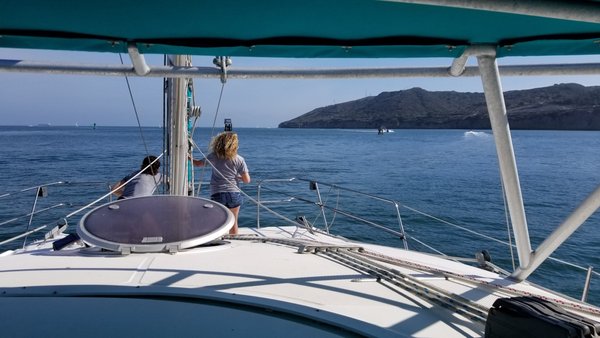Dolphin / Sea Lion Nature Tours - We feature several different types of sailing charters and boat tours. Our Sea Lion / Dolphin boat tours leave at 10am, 1pm and again at 4pm every day. This is a spectacular 2 hour sightseeing tour and one the whole family will enjoy.
Our sailing boat tours and boat charters allow you to enjoy breathtaking views of downtown while relaxing on your own private yacht. Take a sailing lesson and explore the naval base, aircraft carriers, destroyers, and submarines, not to mention an incredible abundance of sea life including Sea Lions, Dolphins and Whales.
You can’t come to San Diego and NOT see the seals and sea lions.
Still not sure what the difference is?
pacifca sailing charters | boat tours | san diegoHere is the easiest explanation: If they have large flippers, bark loudly, you can see their ear flaps and they are brown, they are sea lions. If they have small flippers, you can’t see their ear flaps, and they wriggle on their bellies when on land, it is a seal.
So BIG ears, flippers, and voice means sea lion (the word is bigger so use that to remember). Small means small flippers, small or no ear flaps, small to the ground since they wriggle on their belly equals seal – which is the smaller word.
Now when you go to San Diego to see the Seals or Sea Lions you will know which is which and will be able to impress your fellow visitors!
pacifca sailing charters | boat tours | san diegoThere are a couple of options for seeing the seals and sea lions in the San Diego area. The best decision you want to make is to see them on close up from a boat. You can get up close and personal with the seals without disturbing them from several of our boat tours.
I guarantee you will stand there for longer then you think just watching them lay there, then quickly wiggle out of the way as the water comes closer, or fight over an open spot. It was also really cool to watch the seals swim up out of the ocean and on to the bait barge only a couple of feet away from us on the boat. We even got to see some adorable pups! Dolphin / Sea Lion Nature Tours - We feature several different types of sailing charters and boat tours. Our Sea Lion / Dolphin boat tours leave at 10am, 1pm and again at 4pm every day. This is a spectacular 2 hour sightseeing tour and one the whole family will enjoy.
Our sailing boat tours and boat charters allow you to enjoy breathtaking views of downtown while relaxing on your own private yacht. Take a sailing lesson and explore the naval base, aircraft carriers, destroyers, and submarines, not to mention an incredible abundance of sea life including Sea Lions, Dolphins and Whales.
You can’t come to San Diego and NOT see the seals and sea lions.
Still not sure what the difference is?
pacifca sailing charters | boat tours | san diegoHere is the easiest explanation: If they have large flippers, bark loudly, you can see their ear flaps and they are brown, they are sea lions. If they have small flippers, you can’t see their ear flaps, and they wriggle on their bellies when on land, it is a seal.
So BIG ears, flippers, and voice means sea lion (the word is bigger so use that to remember). Small means small flippers, small or no ear flaps, small to the ground since they wriggle on their belly equals seal – which is the smaller word.
Now when you go to San Diego to see the Seals or Sea Lions you will know which is which and will be able to impress your fellow visitors!
pacifca sailing charters | boat tours | san diegoThere are a couple of options for seeing the seals and sea lions in the San Diego area. The best decision you want to make is to see them on close up from a boat. You can get up close and personal with the seals without disturbing them from several of our boat tours.
I guarantee you will stand there for longer then you think just watching them lay there, then quickly wiggle out of the way as the water comes closer, or fight over an open spot. It was also really cool to watch the seals swim up out of the ocean and on to the bait barge only a couple of feet away from us on the boat. We even got to see some adorable pups!
