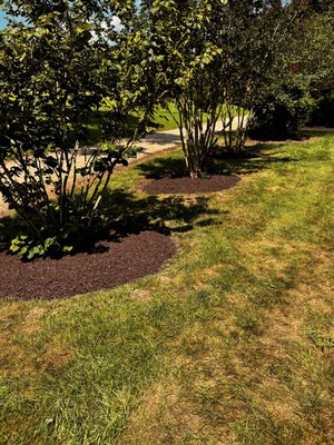 Garden bed makeover - Project Highlight: 12-Yard Mulch & Bed Re-Edging Transformation
We recently completed a full refresh for a client’s landscape, turning old, neglected garden beds into a clean, eye-catching outdoor space.
✅ Installed 12 yards of premium mulch
✅ Re-edged all existing flower beds for a crisp, defined look
✅ Cleaned out overgrowth and debris for a fresh foundation
The result? A total curb appeal upgrade. The beds went from dull and overgrown to beautifully refreshed and neatly framed. It’s amazing what quality mulch and sharp edging can do!
Looking to revive your landscape? Contact Sunny Landscaping LLC — we’ll bring the same care, quality, and attention to detail to your property! Garden bed makeover - Project Highlight: 12-Yard Mulch & Bed Re-Edging Transformation
We recently completed a full refresh for a client’s landscape, turning old, neglected garden beds into a clean, eye-catching outdoor space.
✅ Installed 12 yards of premium mulch
✅ Re-edged all existing flower beds for a crisp, defined look
✅ Cleaned out overgrowth and debris for a fresh foundation
The result? A total curb appeal upgrade. The beds went from dull and overgrown to beautifully refreshed and neatly framed. It’s amazing what quality mulch and sharp edging can do!
Looking to revive your landscape? Contact Sunny Landscaping LLC — we’ll bring the same care, quality, and attention to detail to your property!