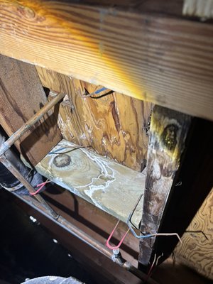 At Lira Home Inspections, we go beyond the basics to protect your investment. - At Lira Home Inspections, we go beyond the basics to protect your investment. Our Mold Inspection services identify hidden moisture issues and test for indoor air quality concerns, while our Sewer Lateral Inspections uncover blockages, root intrusion, and hidden damage underground. Every inspection comes with detailed reports and recommendations you can trust. Serving the Bay Area, Sacramento, and Central Valley — we crawl every crawlspace and run every line so you don’t get stuck with costly surprises.