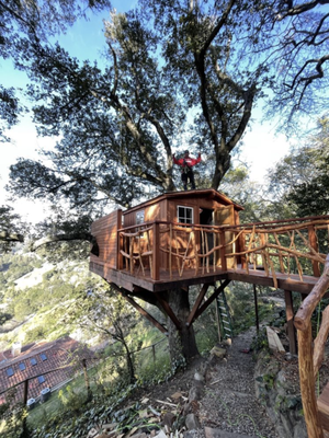 Completed Tree House in Orinda CA - Completed Tree House