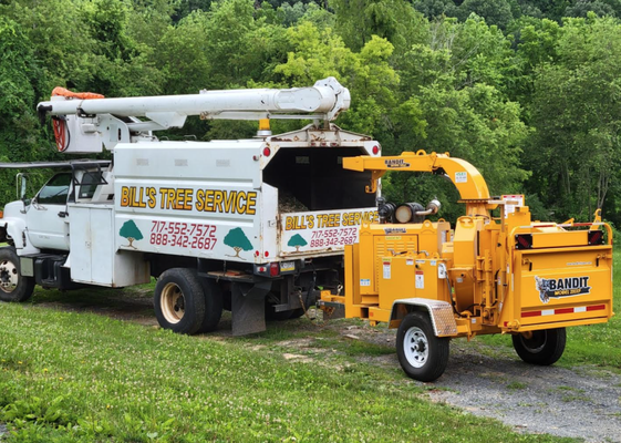 Call An Experienced Tree Service For Your Needs - Call Today for your free estimate Call An Experienced Tree Service For Your Needs - Call Today for your free estimate