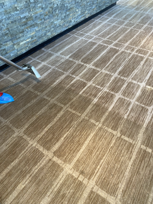 Carpet Cleaning - Our professional carpet cleaning service removes deep dirt, stains, and allergens that regular vacuuming cannot reach, leaving your carpets fresh and revitalized. Carpet Cleaning - Our professional carpet cleaning service removes deep dirt, stains, and allergens that regular vacuuming cannot reach, leaving your carpets fresh and revitalized.