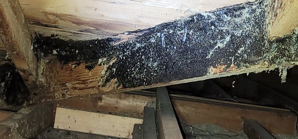 Attic inspection - This is an inspection of an attic conducted last week we found structural damage, moisture damage, and inadequate insulation. Attic inspection - This is an inspection of an attic conducted last week we found structural damage, moisture damage, and inadequate insulation.