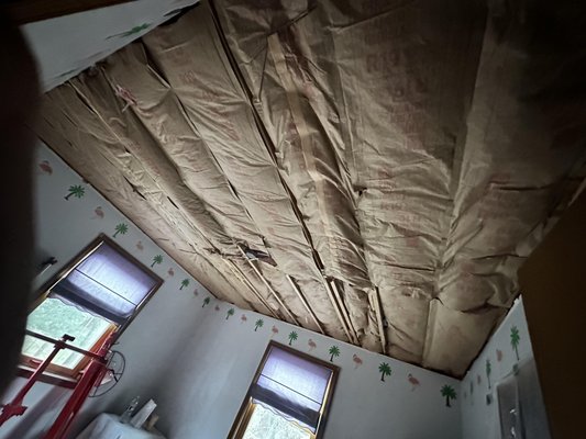 Ceiling - Ceiling Job Ceiling - Ceiling Job