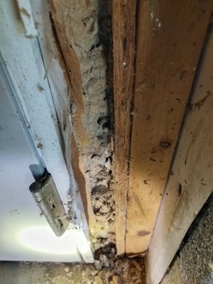 Termite Damage March 26 - Termite damage found during an inspection, Not active. However a preventative treatment was applied around the exterior perimeter to prevent future infestations. Termite Damage March 26 - Termite damage found during an inspection, Not active. However a preventative treatment was applied around the exterior perimeter to prevent future infestations.