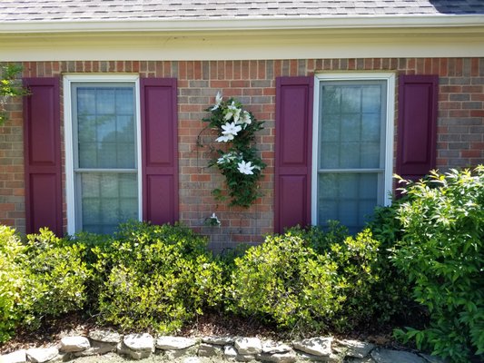 Replacement Vinyl Shutters - Customer wanted to replace faded and partially missing shutters with new ones. Replacement Vinyl Shutters - Customer wanted to replace faded and partially missing shutters with new ones.