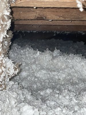  Attic inspections - I crawl through your attic so you don’t have to  Attic inspections - I crawl through your attic so you don’t have to