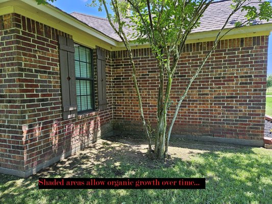 Waller House Wash - We use a house wash chemical solution to kill the Organic growth. These shaded areas are damp and allow Algae and other Organic growth to attach to the Concrete / Stone / Siding.
Once we treat the area it comes off with minimal pressure to insure your home doesn't get damaged when removing. Waller House Wash - We use a house wash chemical solution to kill the Organic growth. These shaded areas are damp and allow Algae and other Organic growth to attach to the Concrete / Stone / Siding.
Once we treat the area it comes off with minimal pressure to insure your home doesn't get damaged when removing.