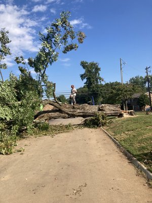 TREE REMOVAL🌳 - Don’t let one tree drain, kill, or ruin the other beautiful vegetation in your yard! We will assist and explain why removals are so important to the health of your yard and the surrounding environment. If there are questions or concerns, let us put your mind at ease! 🌲🪓 TREE REMOVAL🌳 - Don’t let one tree drain, kill, or ruin the other beautiful vegetation in your yard! We will assist and explain why removals are so important to the health of your yard and the surrounding environment. If there are questions or concerns, let us put your mind at ease! 🌲🪓
