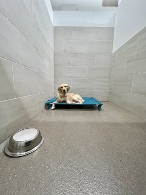 Pet Boarding - Pet Boarding Pet Boarding - Pet Boarding
