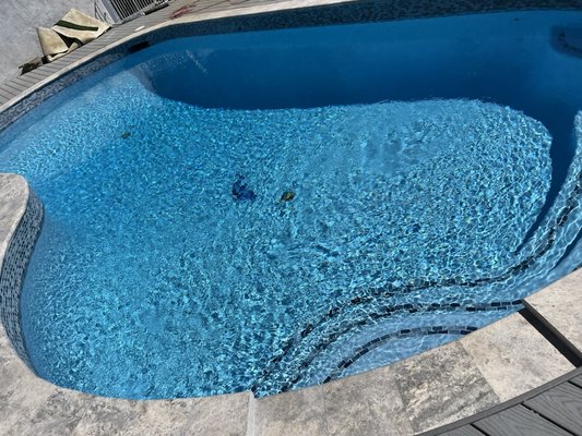 Pool Remodel - This outdated pool was leaking and had many cracks. We completely remodeled the entire pool, changing all the components/skimmer. Installed beautiful custom tile and custom fabricated pool coping. P.S. look at the pretty dolphin in the center! Pool Remodel - This outdated pool was leaking and had many cracks. We completely remodeled the entire pool, changing all the components/skimmer. Installed beautiful custom tile and custom fabricated pool coping. P.S. look at the pretty dolphin in the center!