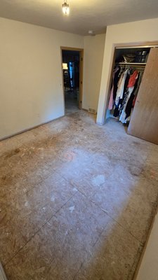 Carpet removal - Need unwanted junk gone fast?
We provide reliable, affordable junk removal throughout Green Bay and the surrounding areas. From household clutter to yard debris and furniture, we haul it all — big or small!
🚛 Same-day or next-day service available.
📞 Call or text 920-217-2256 today for a free estimate. Carpet removal - Need unwanted junk gone fast?
We provide reliable, affordable junk removal throughout Green Bay and the surrounding areas. From household clutter to yard debris and furniture, we haul it all — big or small!
🚛 Same-day or next-day service available.
📞 Call or text 920-217-2256 today for a free estimate.