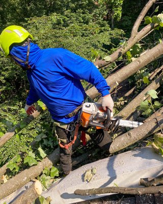 Emergency Tree Service - Our tree cutting service ensures the safe and efficient removal of unwanted or hazardous trees.
We use specialized equipment and safe techniques to minimize any risk to your property and surroundings. Emergency Tree Service - Our tree cutting service ensures the safe and efficient removal of unwanted or hazardous trees.
We use specialized equipment and safe techniques to minimize any risk to your property and surroundings.
