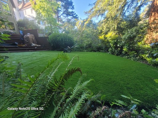 Forrest Floor majestic beauty. - This install was high up in the Oakland Hills and probably the most beautiful yard that any of us have been in. While the design looks simpl Forrest Floor majestic beauty. - This install was high up in the Oakland Hills and probably the most beautiful yard that any of us have been in. While the design looks simpl